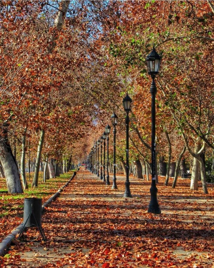 Bed & Breakfast Lastarria Сантяго Екстериор снимка